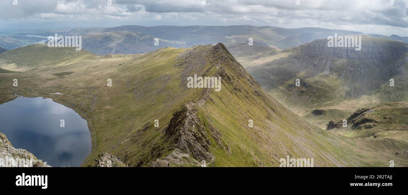 walkers on Striding Edge path with Helvellyn summit behind Stock Photo ...