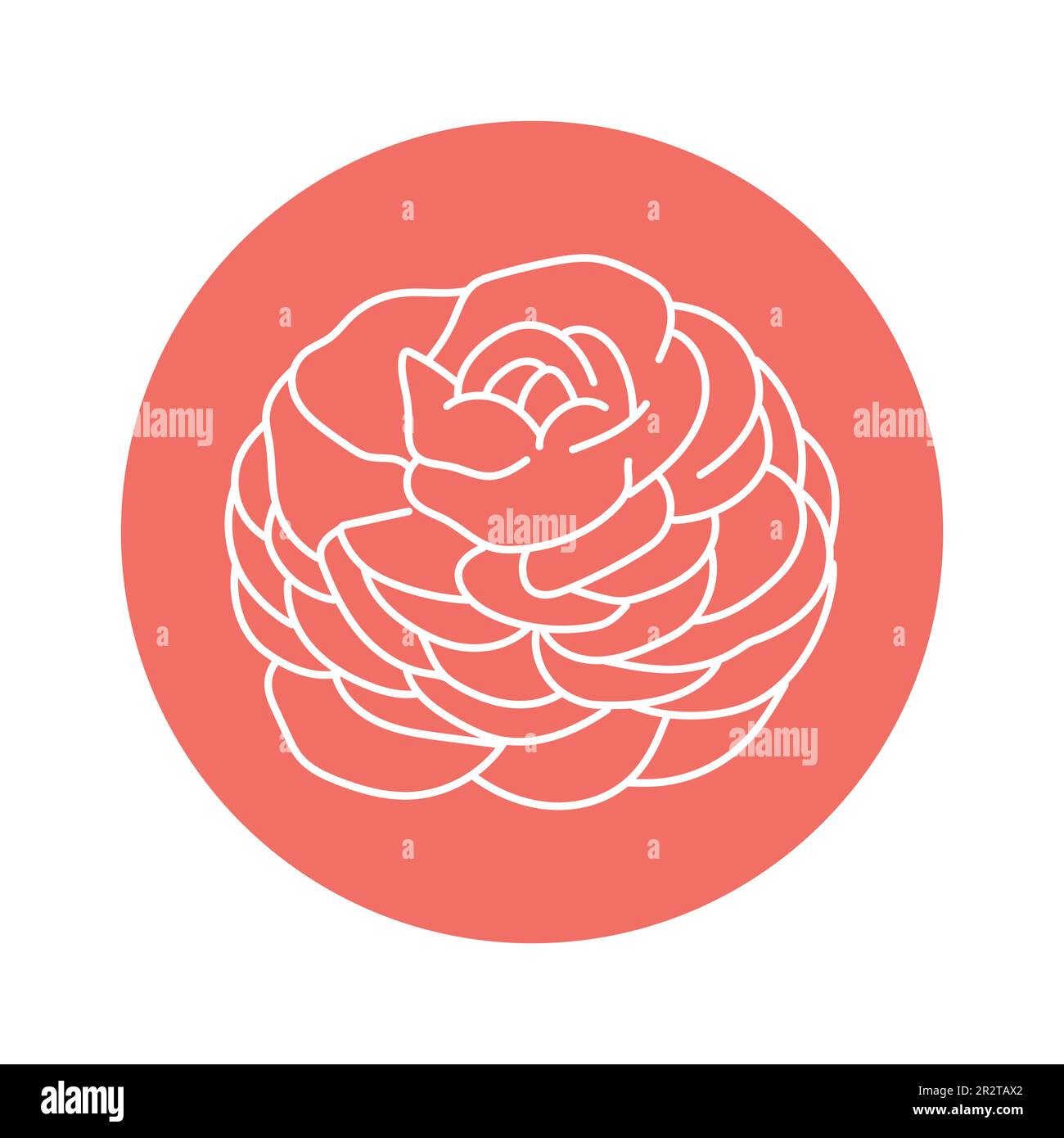 Ranunculus flower black line icon. Pictogram for web page, mobile app ...