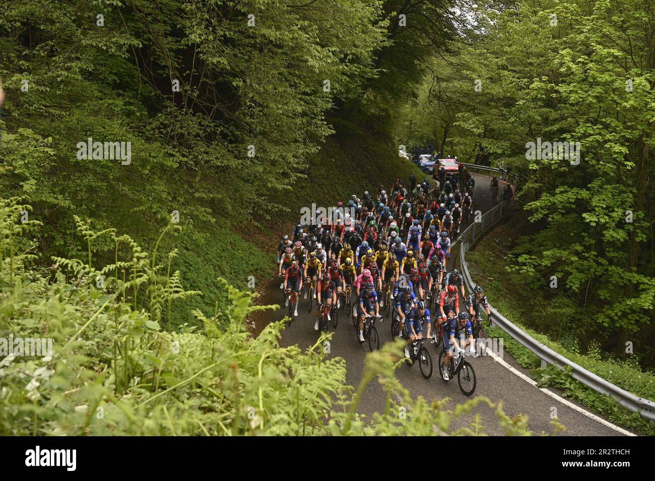 The pack pedals during the 15th stage of the Giro D