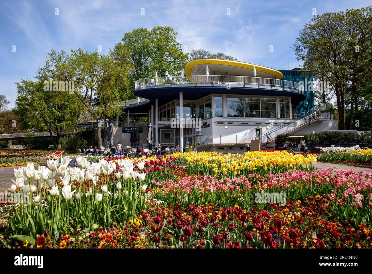 the historic Park Café  in the Rhine Park in the district Deutz, local recreation area, beds with tulips, Cologne, Germany. das historische Park-Café Stock Photo