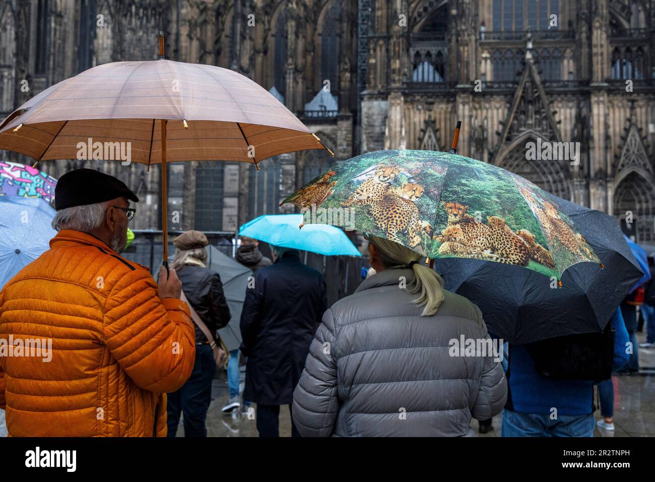 Elegantes Koln Mit Kindern Bei Regen Fotos