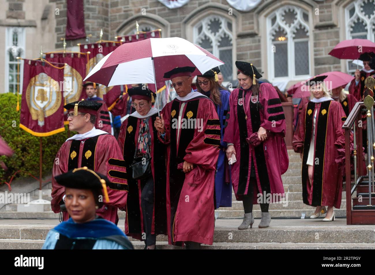 ハリウッド スティービー・ワンダー 直筆サイン入り フォト 写真 Stevie Wonder image