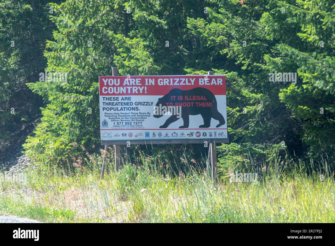 British Columbia, Canada-August 2022; View of large sign next to the road warning that it is illegal to shoot grizzly bears as they are an endangered Stock Photo