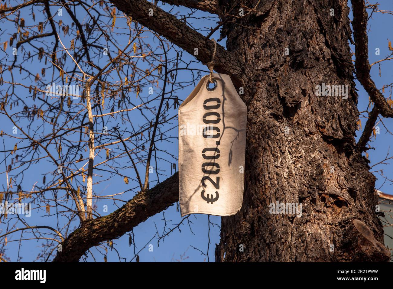 As part of the exhibition 'Between the Trees. Urbanes Gruen – Kunst – Design', the installation 'Wertewandel', conceived by the oekoRAUSCH think tank, Stock Photo