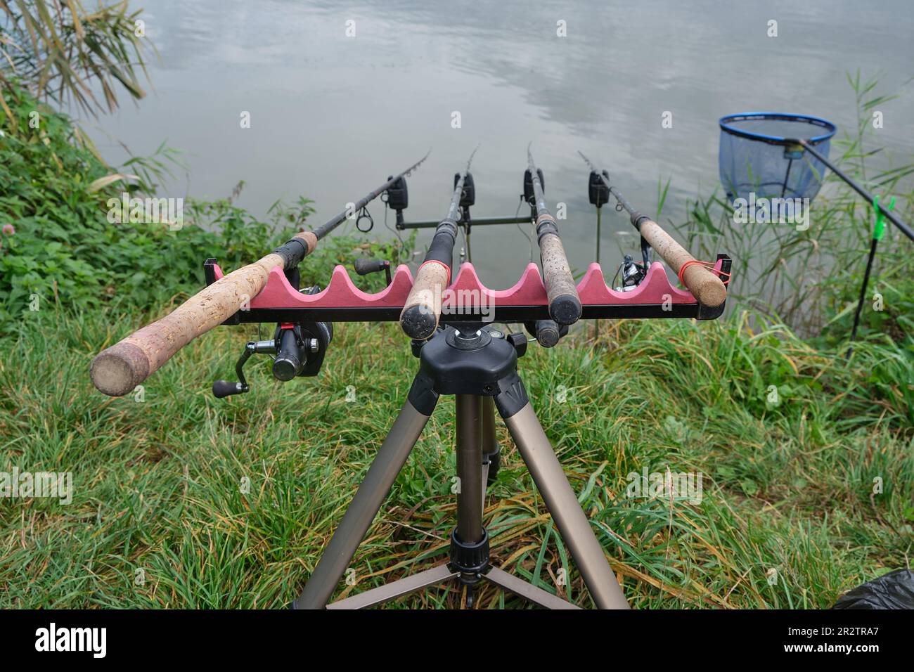 four carp feeder rods on a rod-pod stand with electronic alarms near the  lake during the day. Back pocket. Fishing, hobbies, outdoor recreation  Stock Photo - Alamy