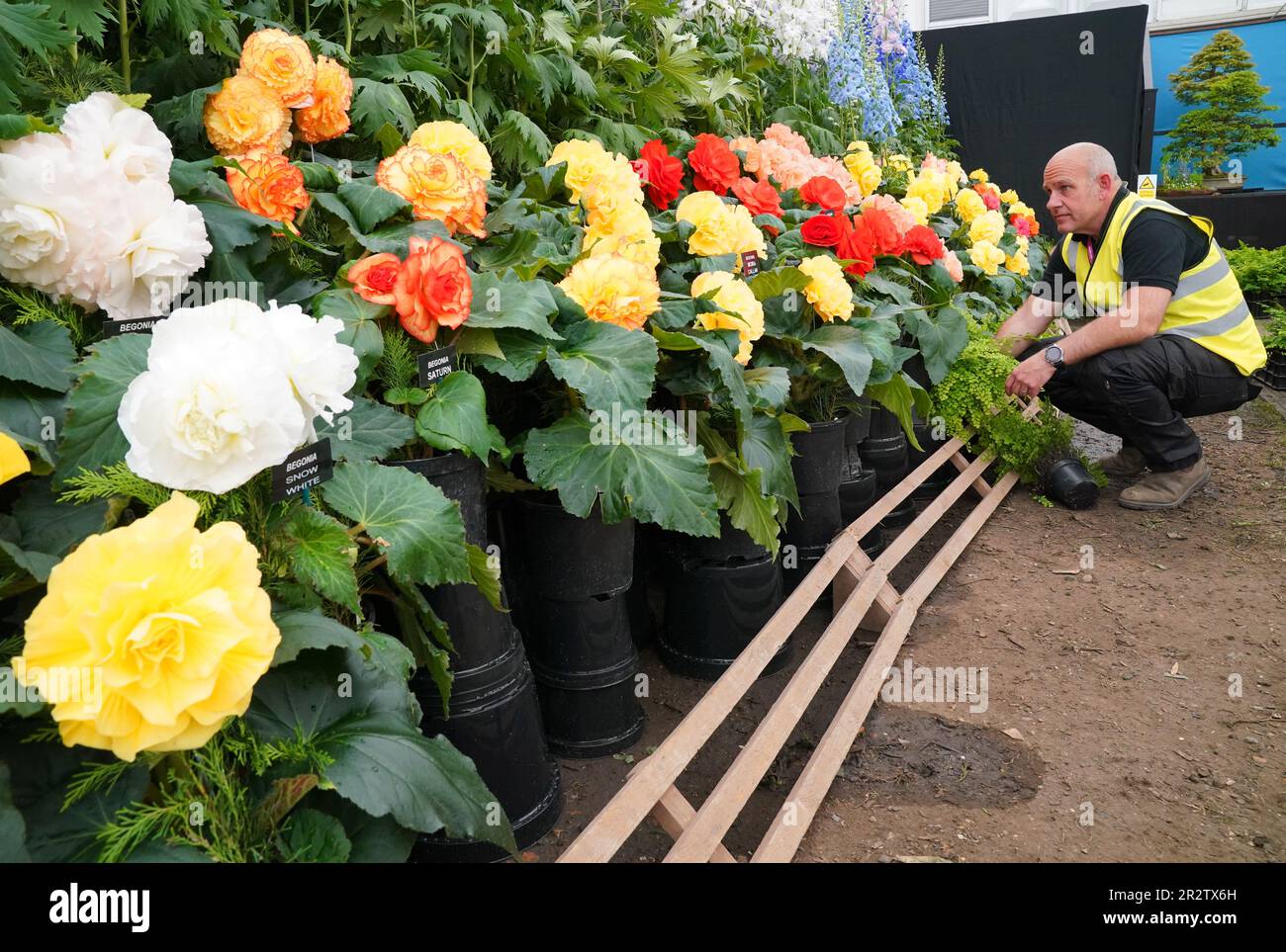 Nick Langdon makes adjustments to begonias and delhiniums in the ...