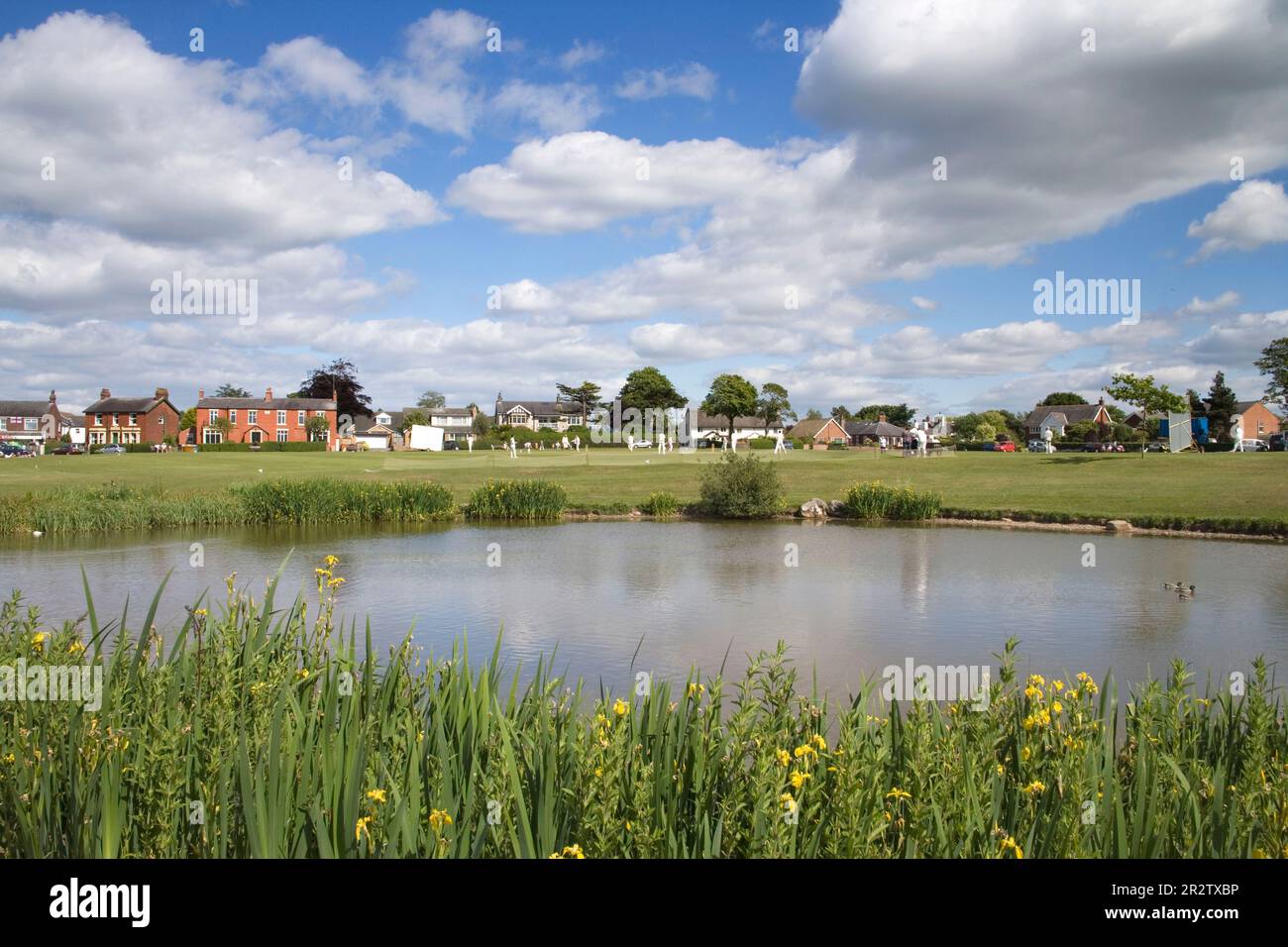 wrea green village pond or dub on the Fylde in lancashire Stock Photo
