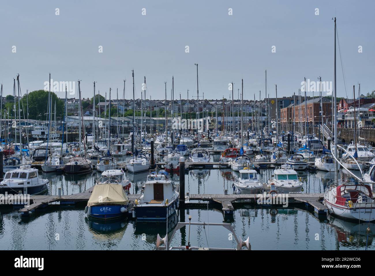 Sailing boats at Milford Waterfront, Milford Haven, Pembrokeshire, Milford Waterfront, Milford Haven, Pembrokeshire Stock Photo