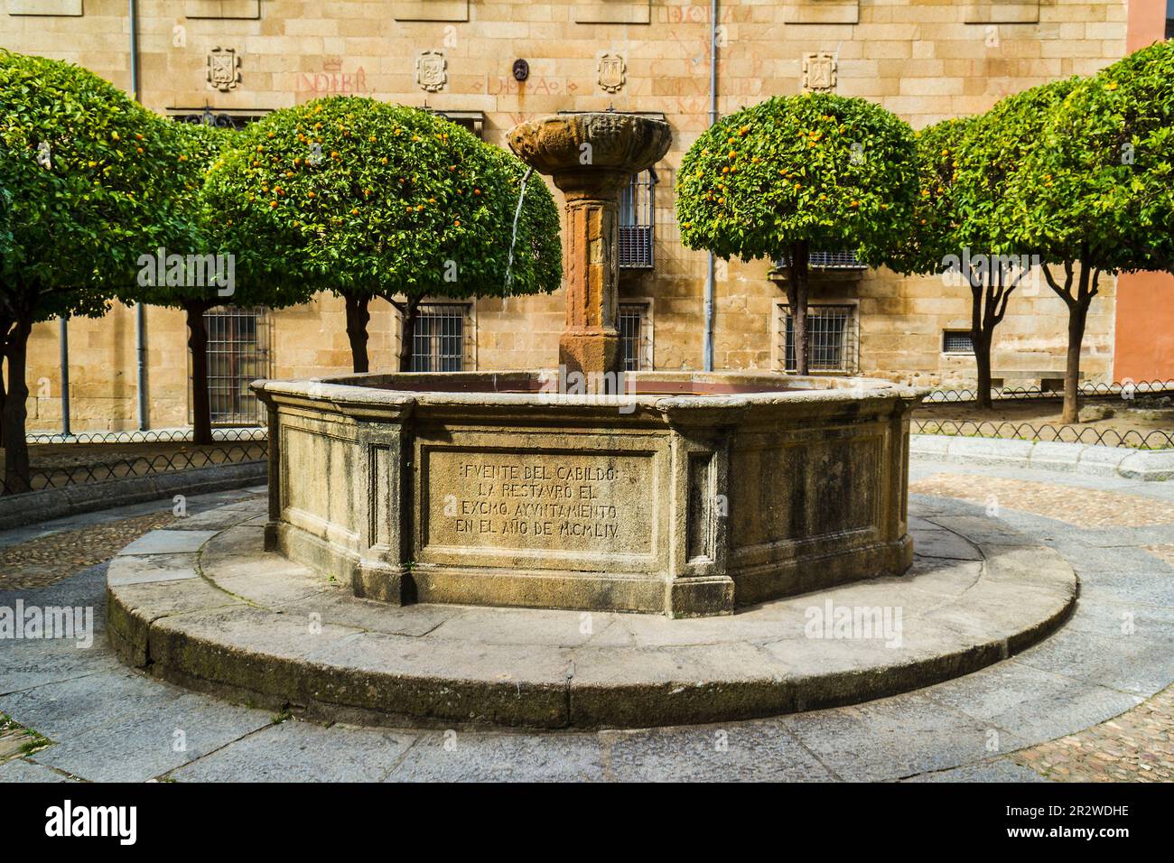 San Vicente Ferrer fountain, Plasencia, Spain Stock Photo