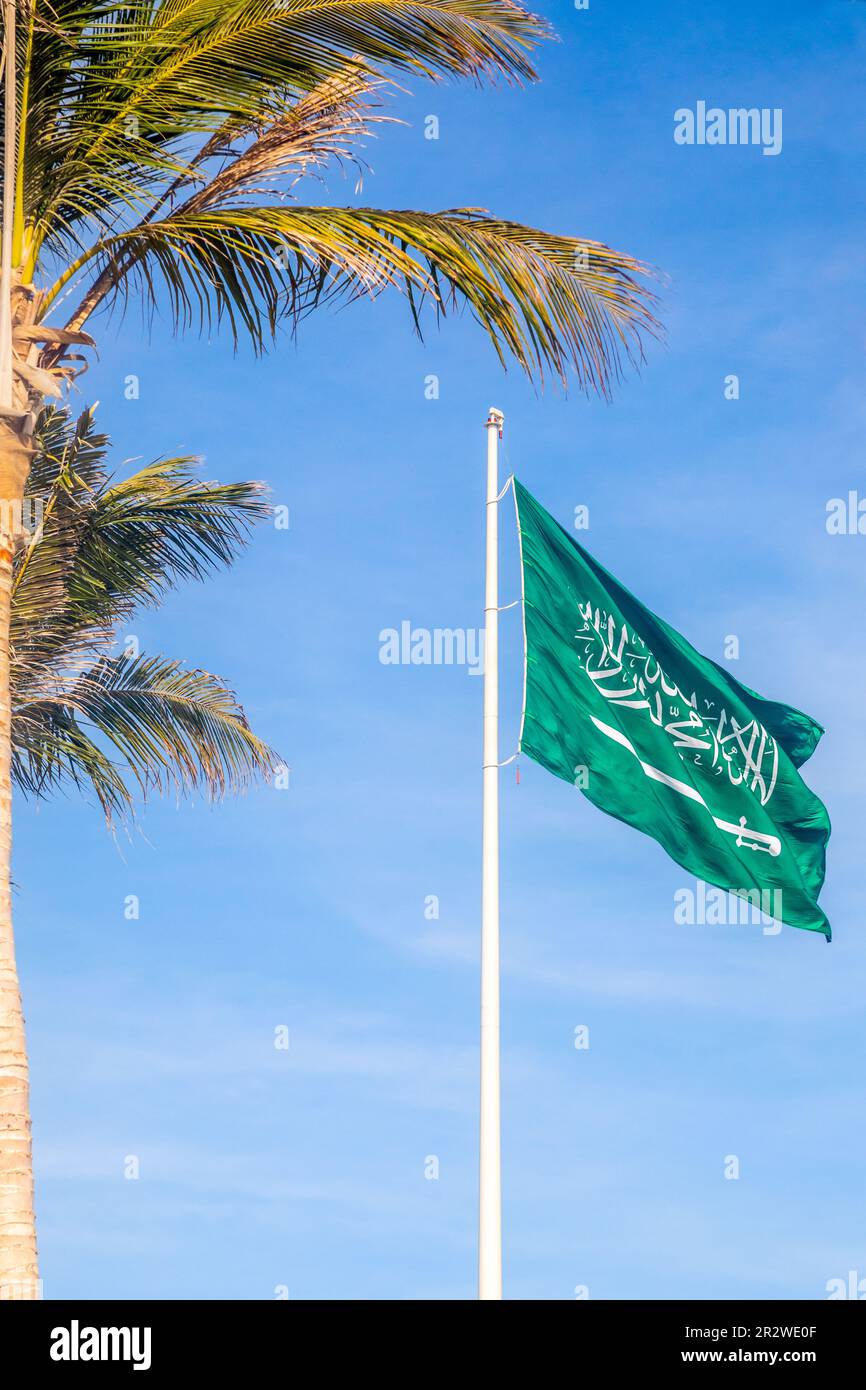 Saudi Arabian flag waving on the wind with palm leaves, Jeddah, Saudi Arabia Stock Photo