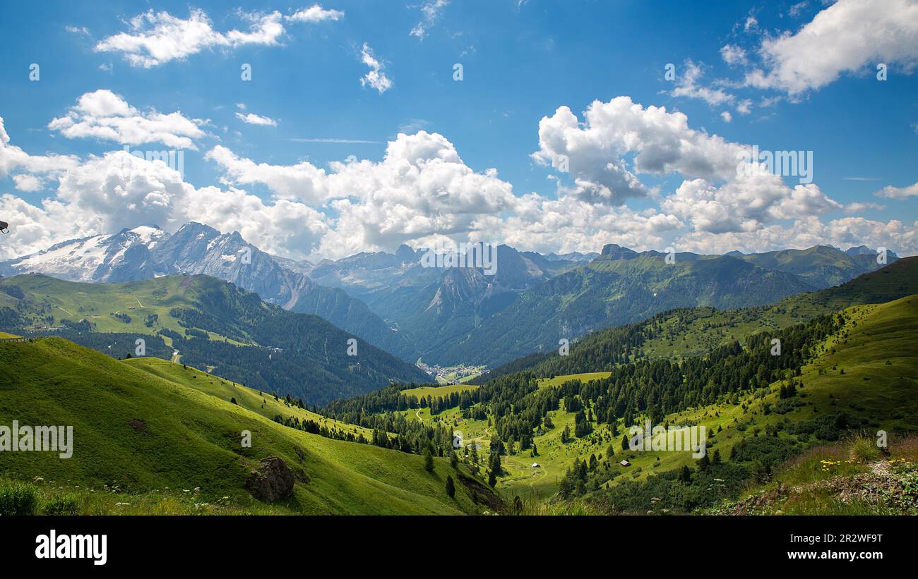 sella italia antiprostata