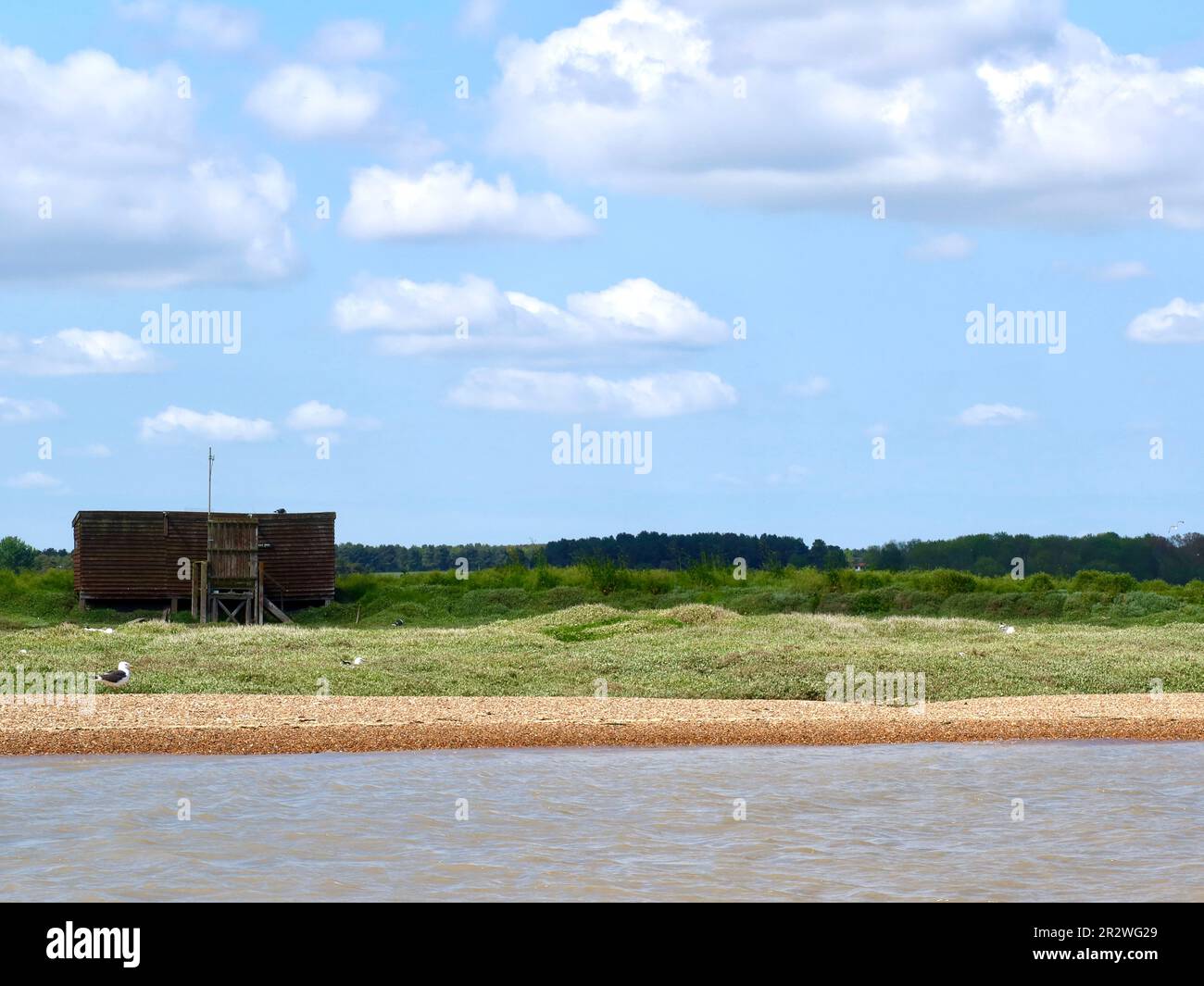 Orford, Suffolk 21 May 2023 Boat trip on the River Alde from Orford