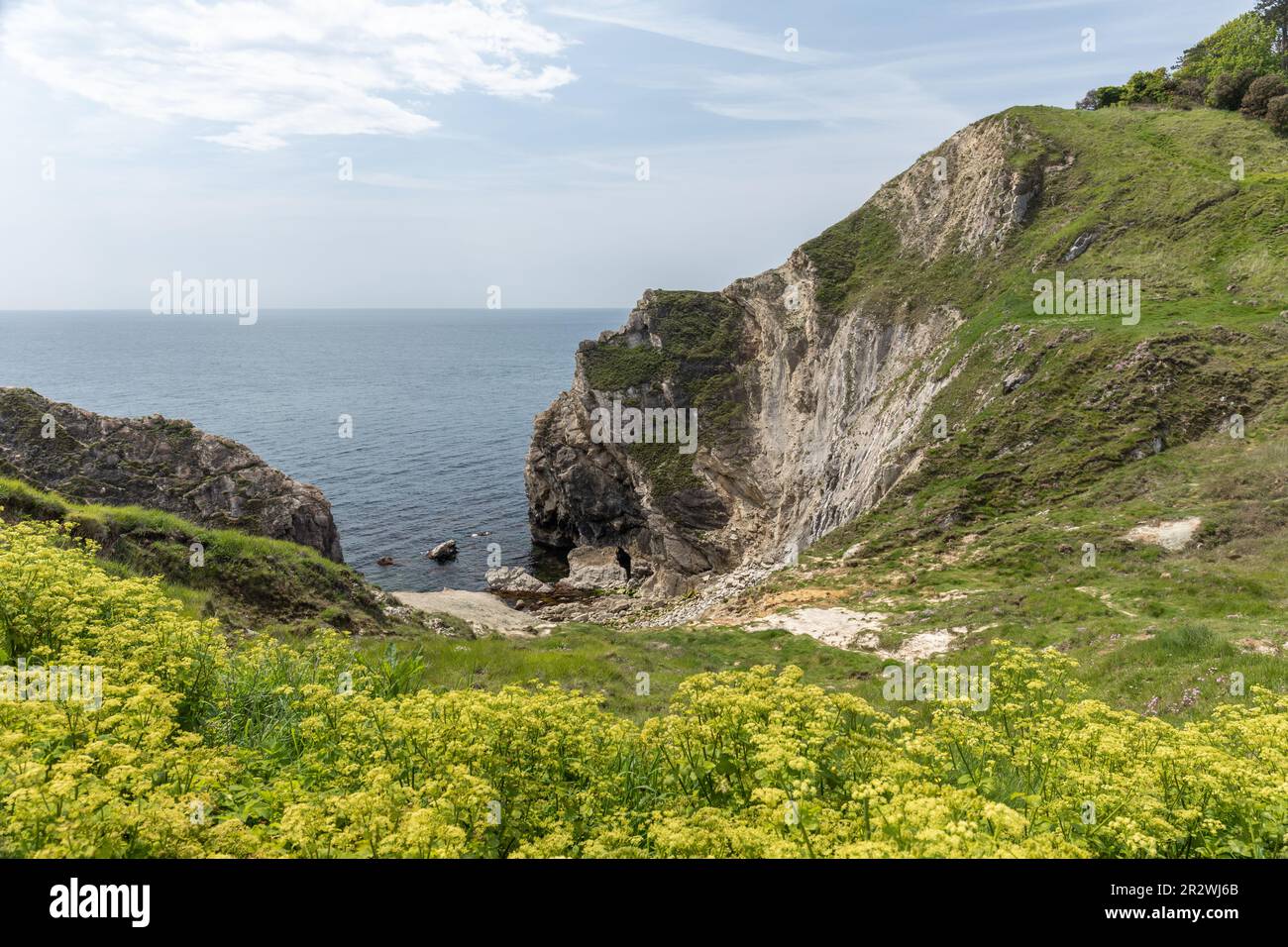Folded limestone strata at Lulworth Cove, Dorset, England, UK. UNESCO World Heritage Site Stock Photo