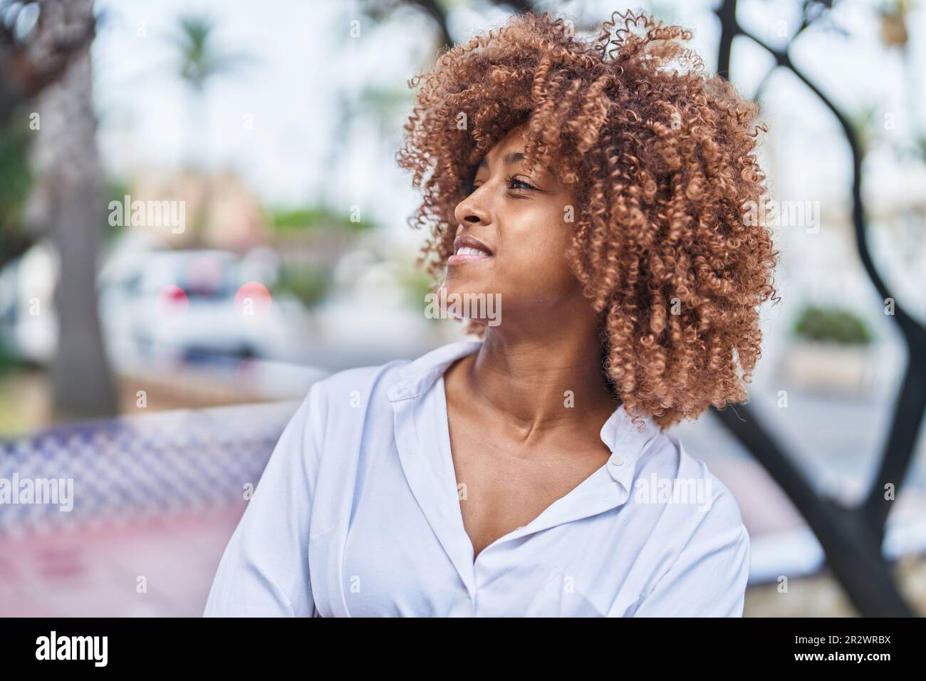 African american woman smiling confident looking to the side at park ...