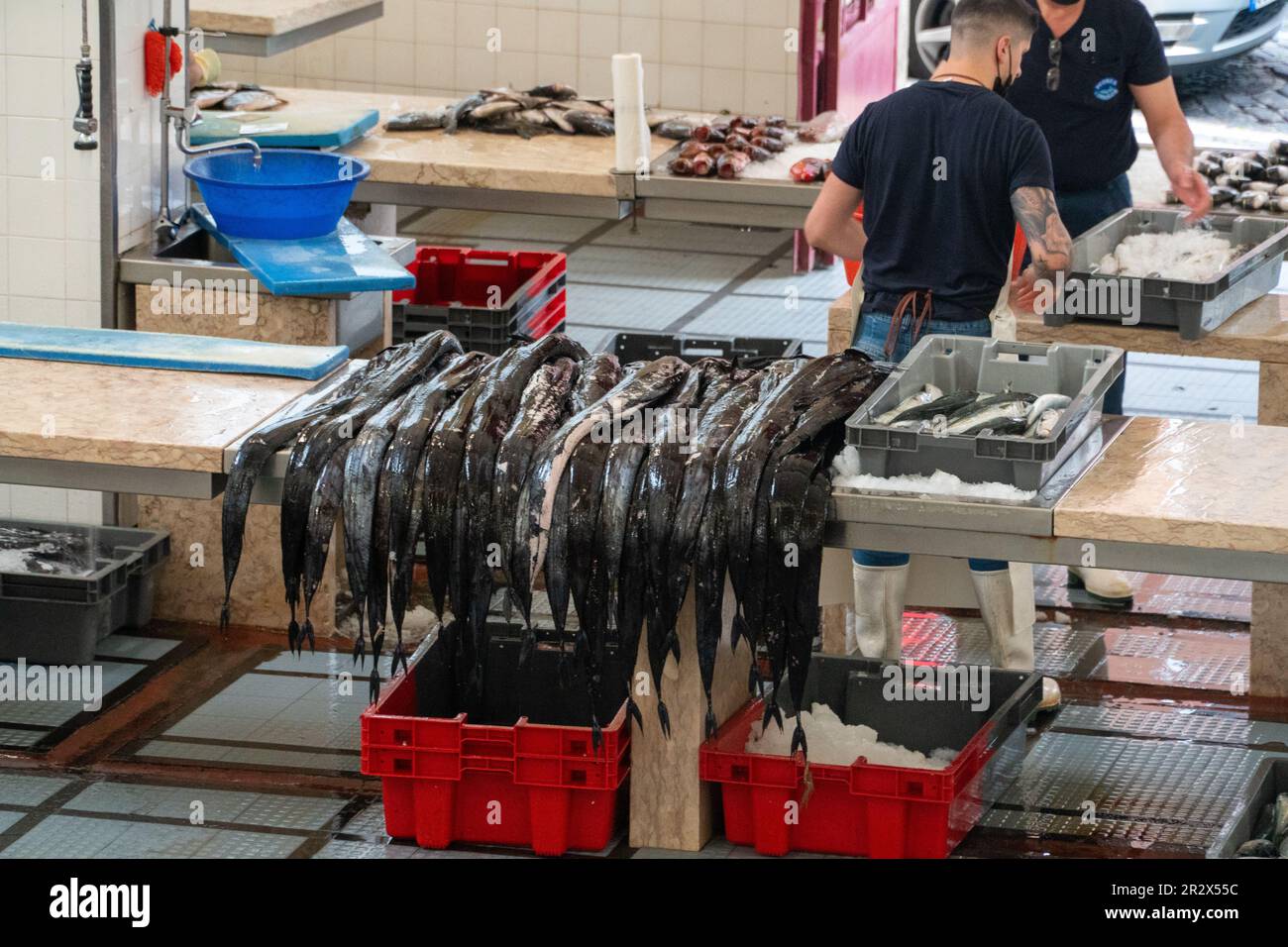 Fish sorting table hi-res stock photography and images - Alamy
