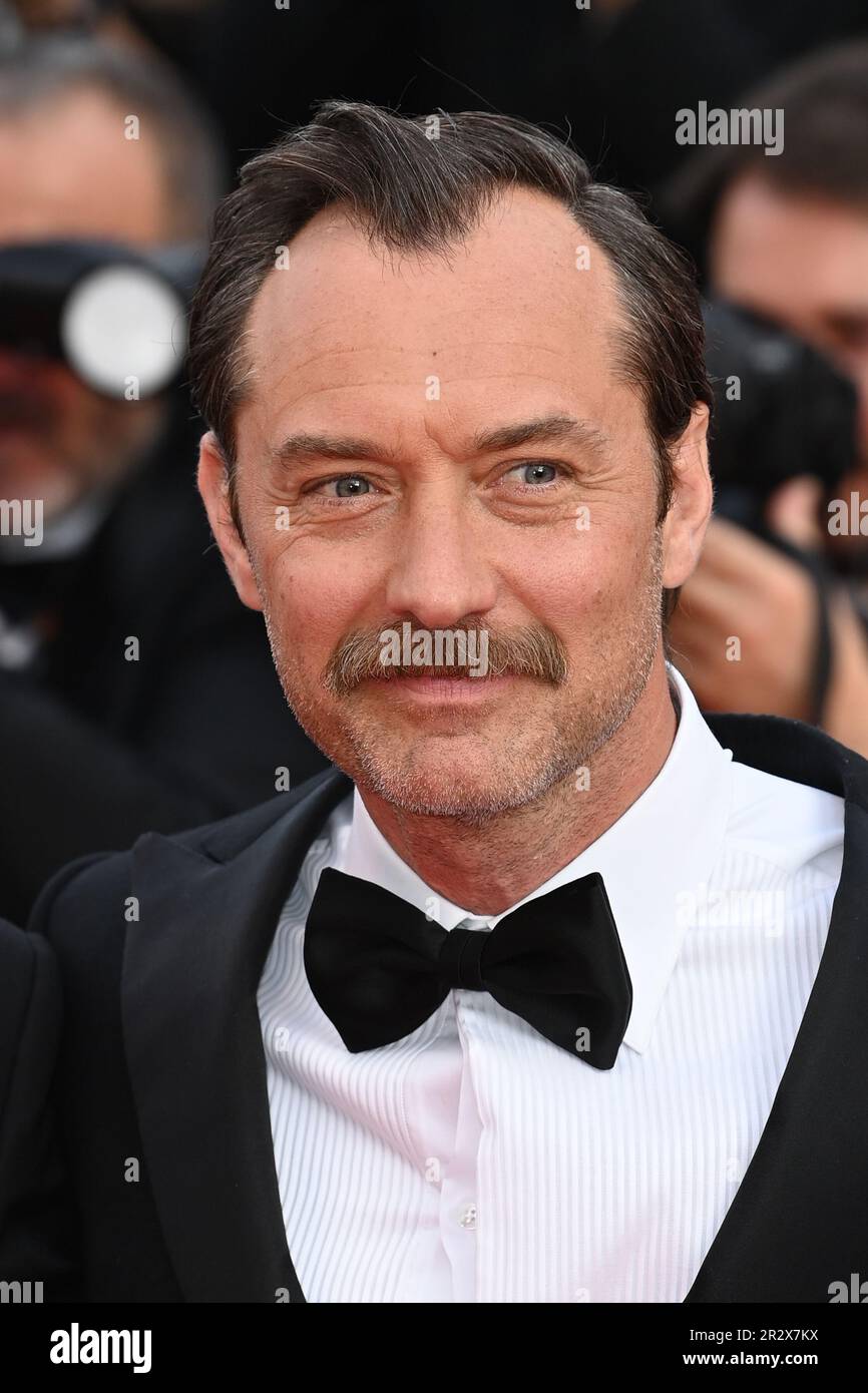 photo-jude-law-au-photocall-de-firebrand-le-jeu-de-la-reine-lors