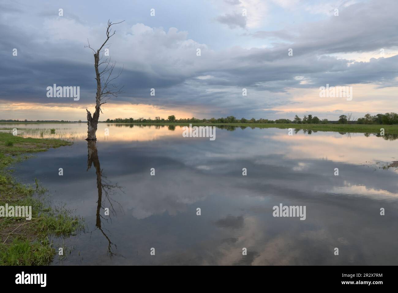 The Oder river on the border between Germany and Poland Stock Photo - Alamy