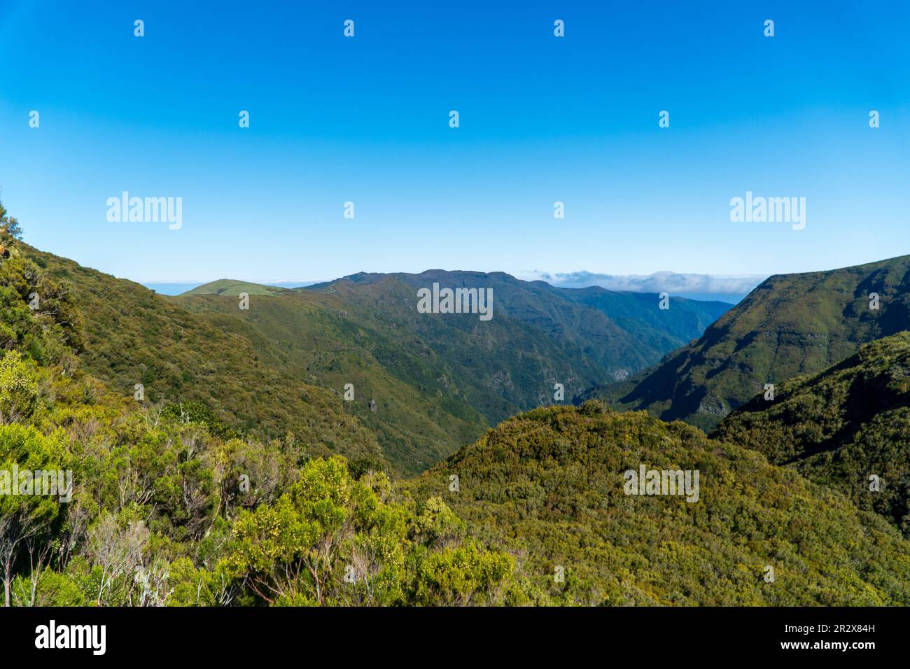 Mountain landscape. View of mountains on the route Queimadas Forestry Park - Caldeirao Verde. Madeira Island, Portugal, Europe. Stock Photo