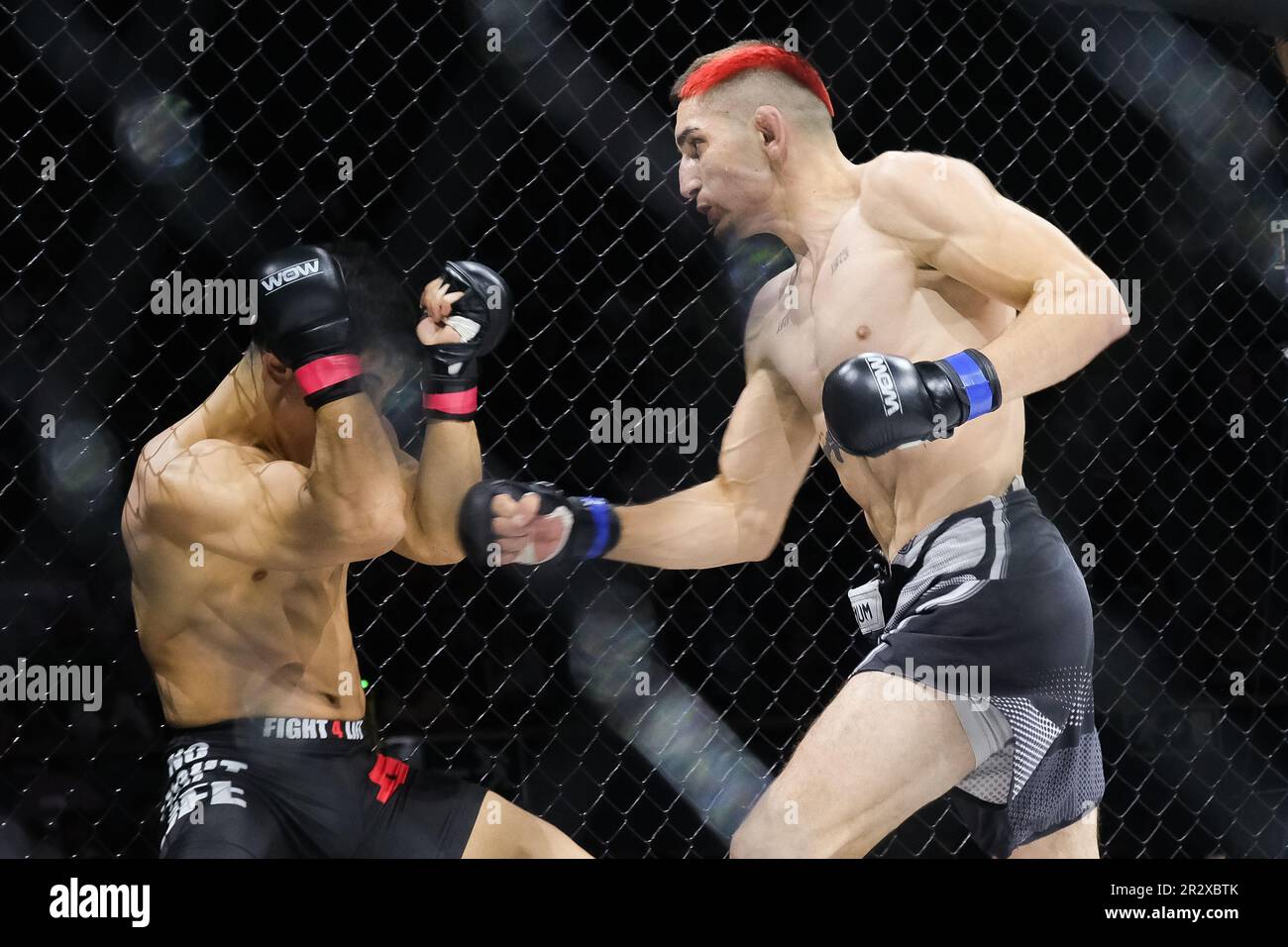 Joita hires stock photography and images Alamy