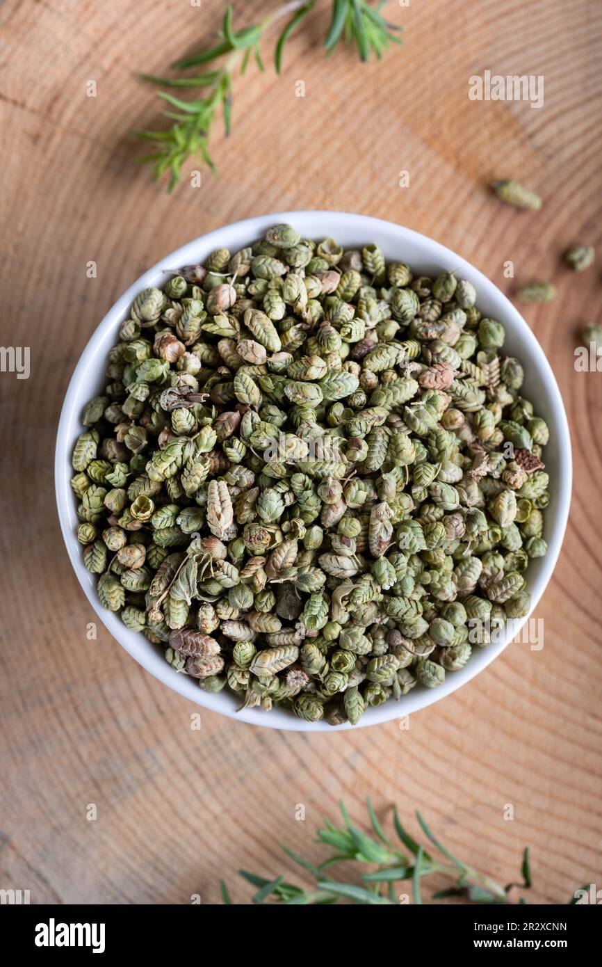 Fresh green aromatic thyme herbs with dried thyme seeds in a bowl. Stock Photo