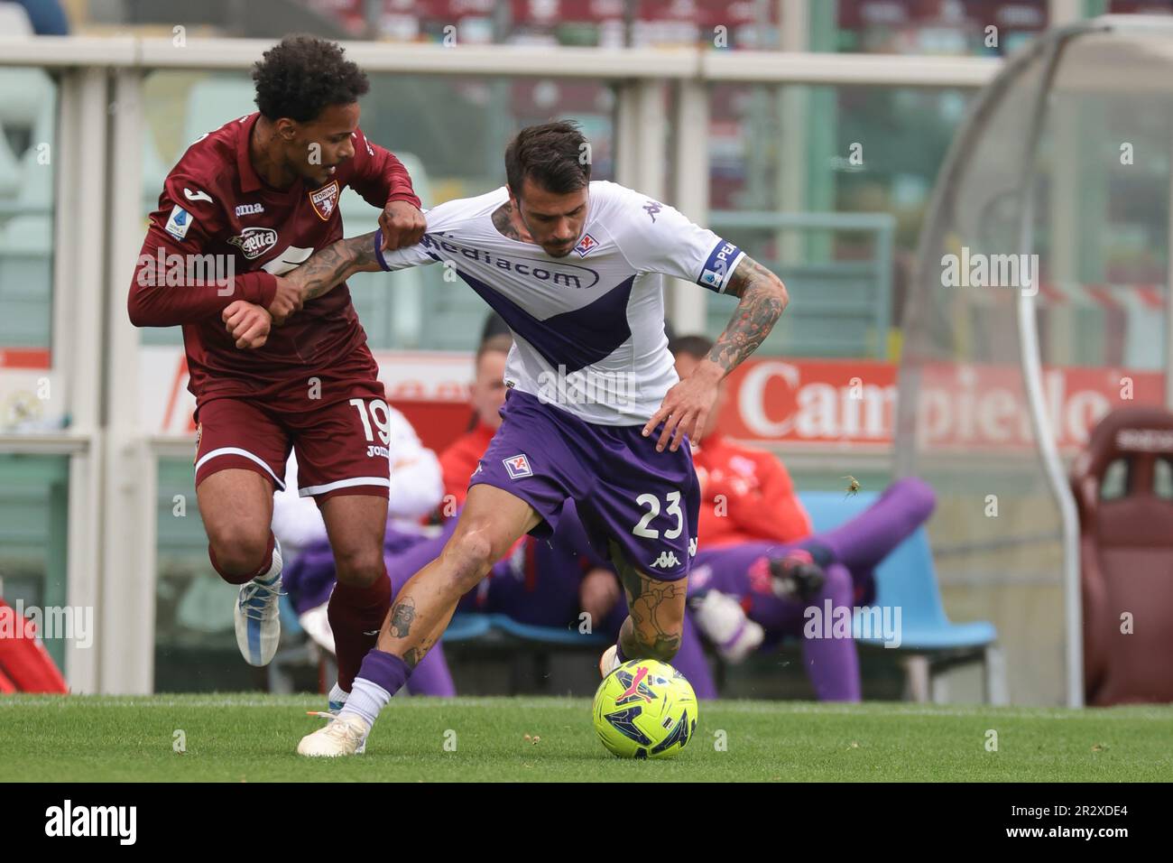 Turin, Italy. 21st May, 2023. Valentino Lazaro of Torino FC tussles with  Lorenzo Venuti of ACF Fiorentina during the Serie A match at Stadio Grande  Torino, Turin. Picture credit should read: Jonathan