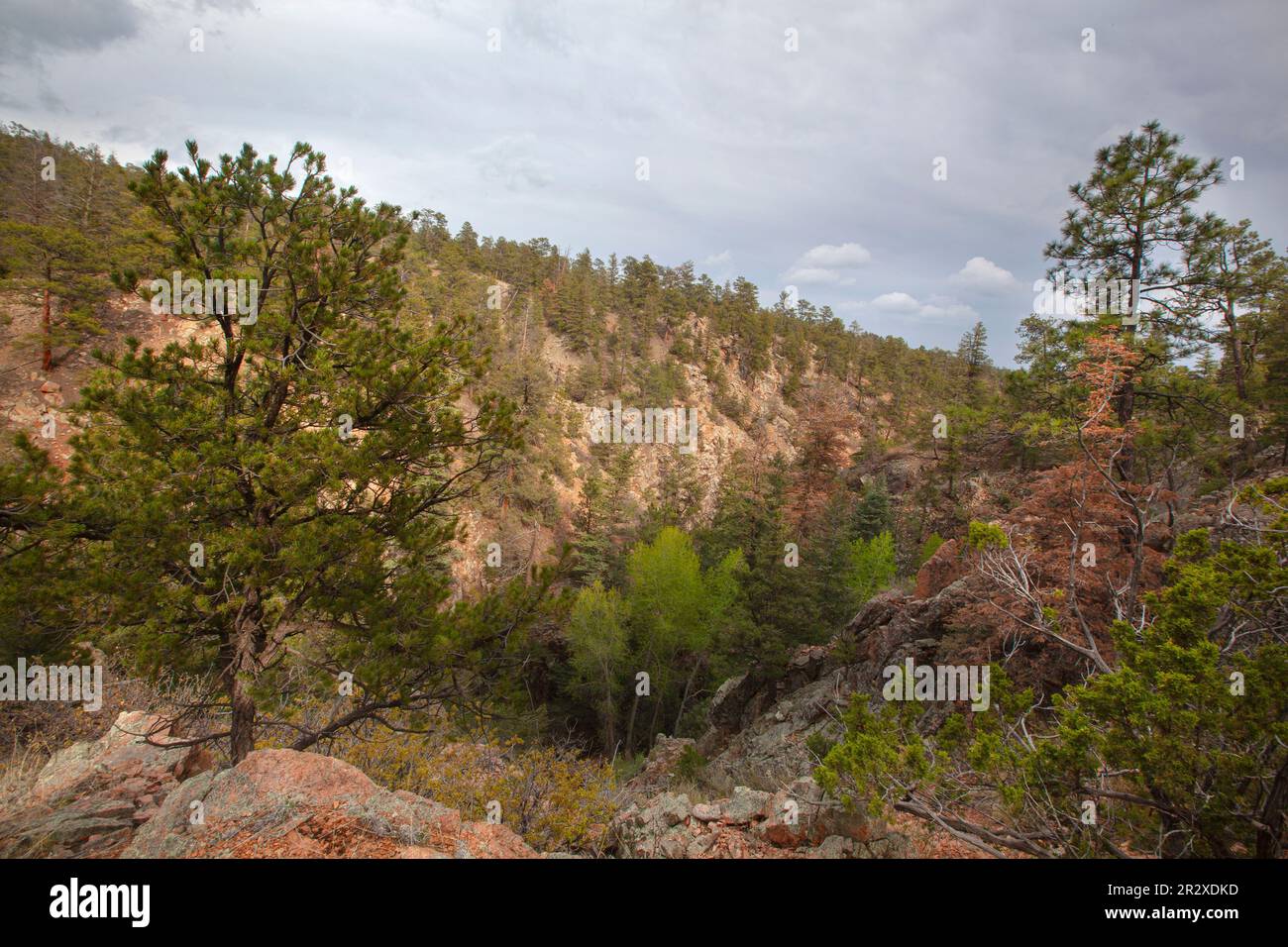A scenic view of Apache Canyon in Santa Fe National Forest, New Mexico