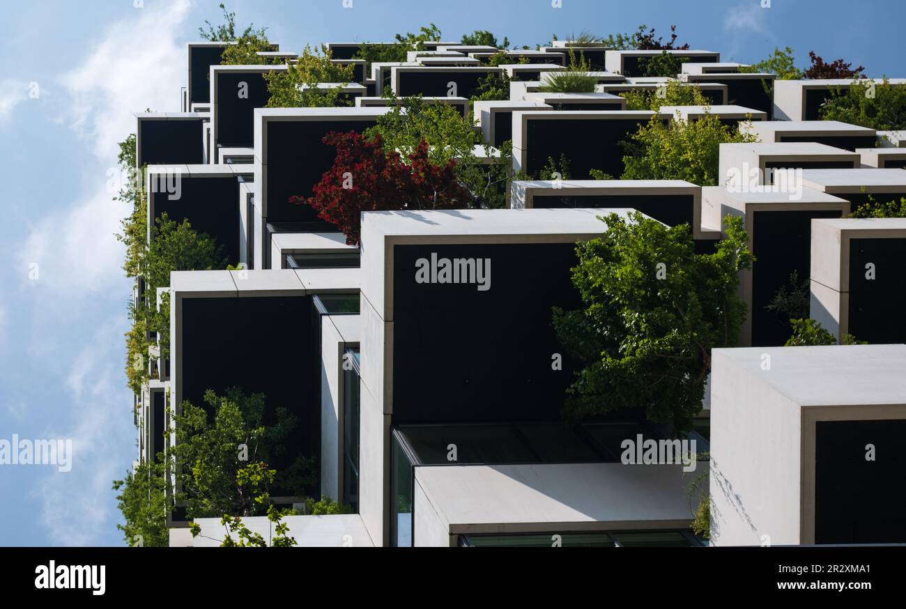 Image showcasing Eco sustainable penthouse - Nilufar Pulatova