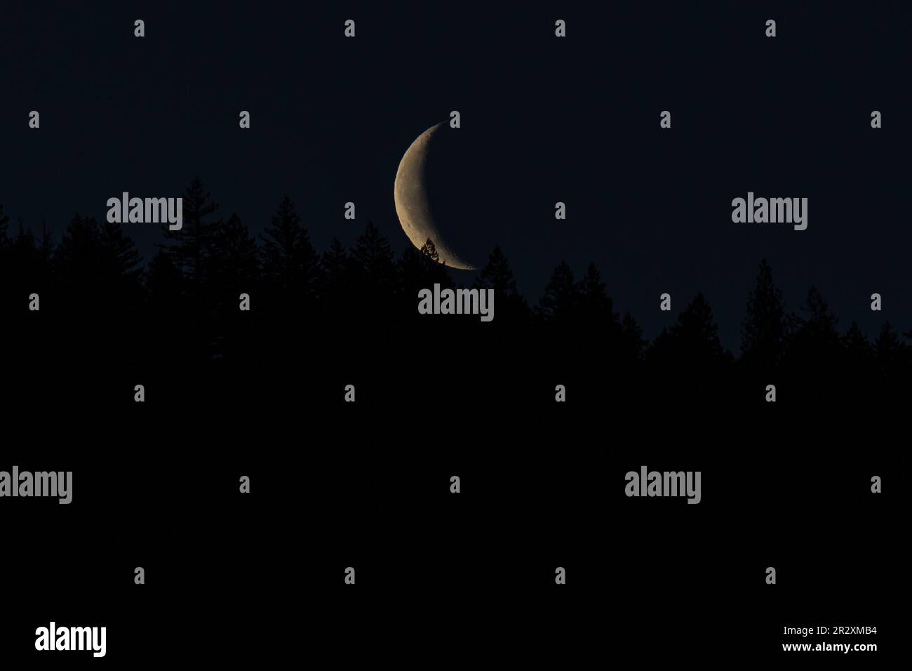 Waning Crescent Moon, Ashland, OR, March Stock Photo