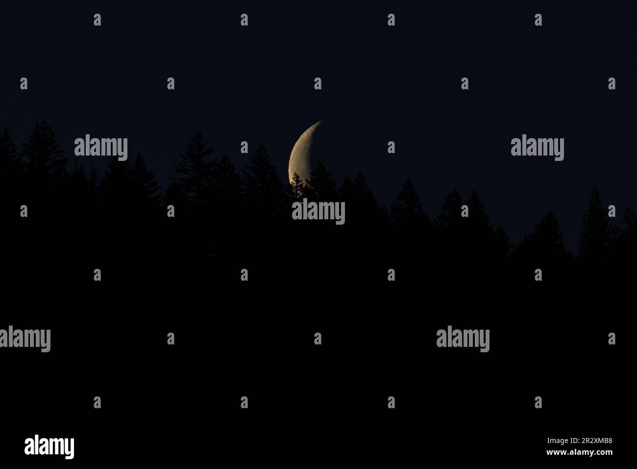 Waning Crescent Moon, Ashland, OR, March Stock Photo