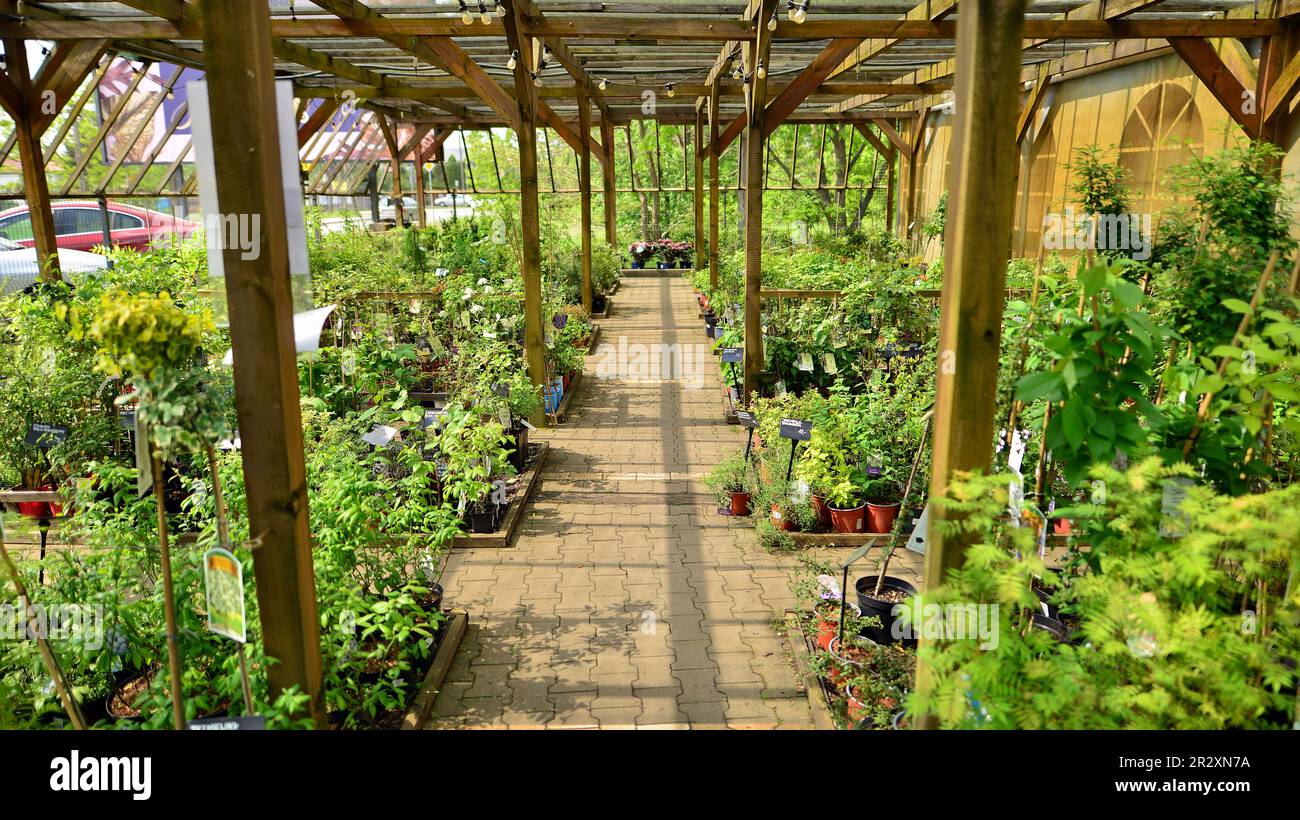 Plant care label garden centre hi-res stock photography and images - Alamy