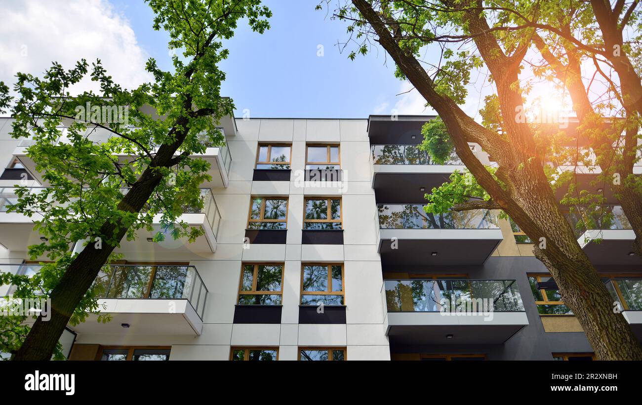 Eco architecture. Green tree and new apartment building. The harmony of