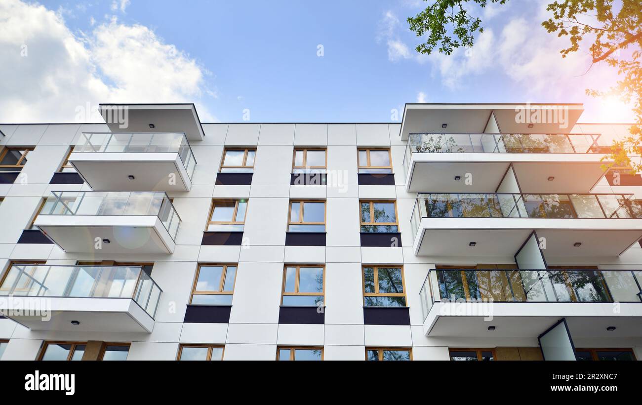 Eco architecture. Green tree and new apartment building. The harmony of