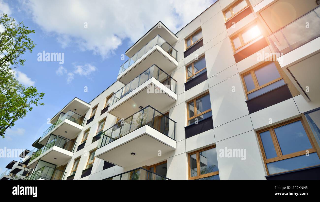 Eco architecture. Green tree and new apartment building. The harmony of