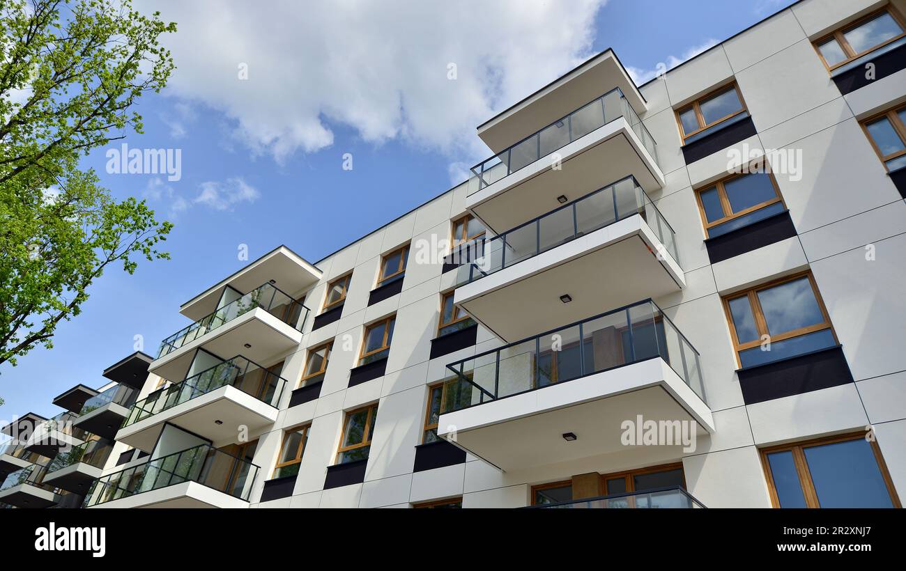 Eco architecture. Green tree and new apartment building. The harmony of