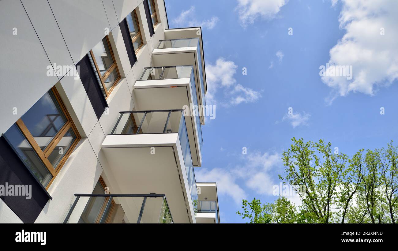 Eco architecture. Green tree and new apartment building. The harmony of