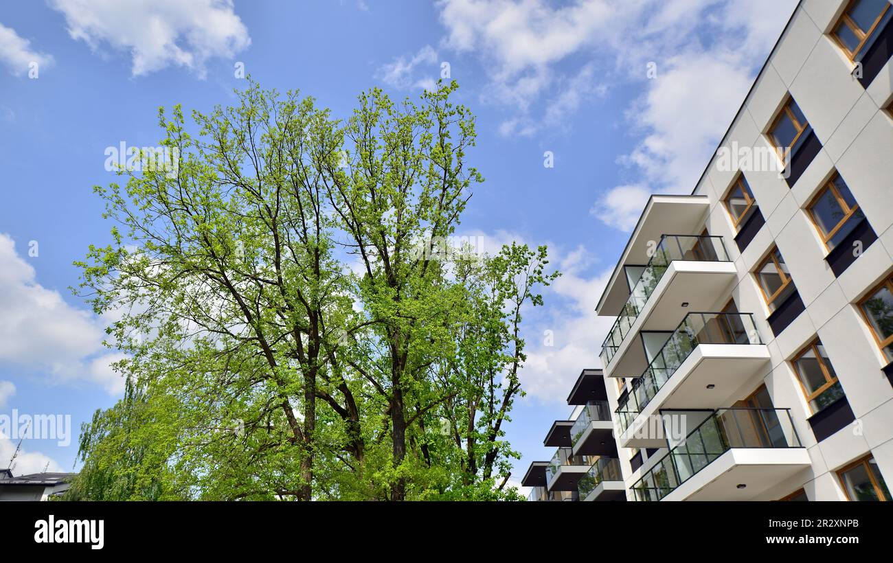 Eco architecture. Green tree and new apartment building. The harmony of