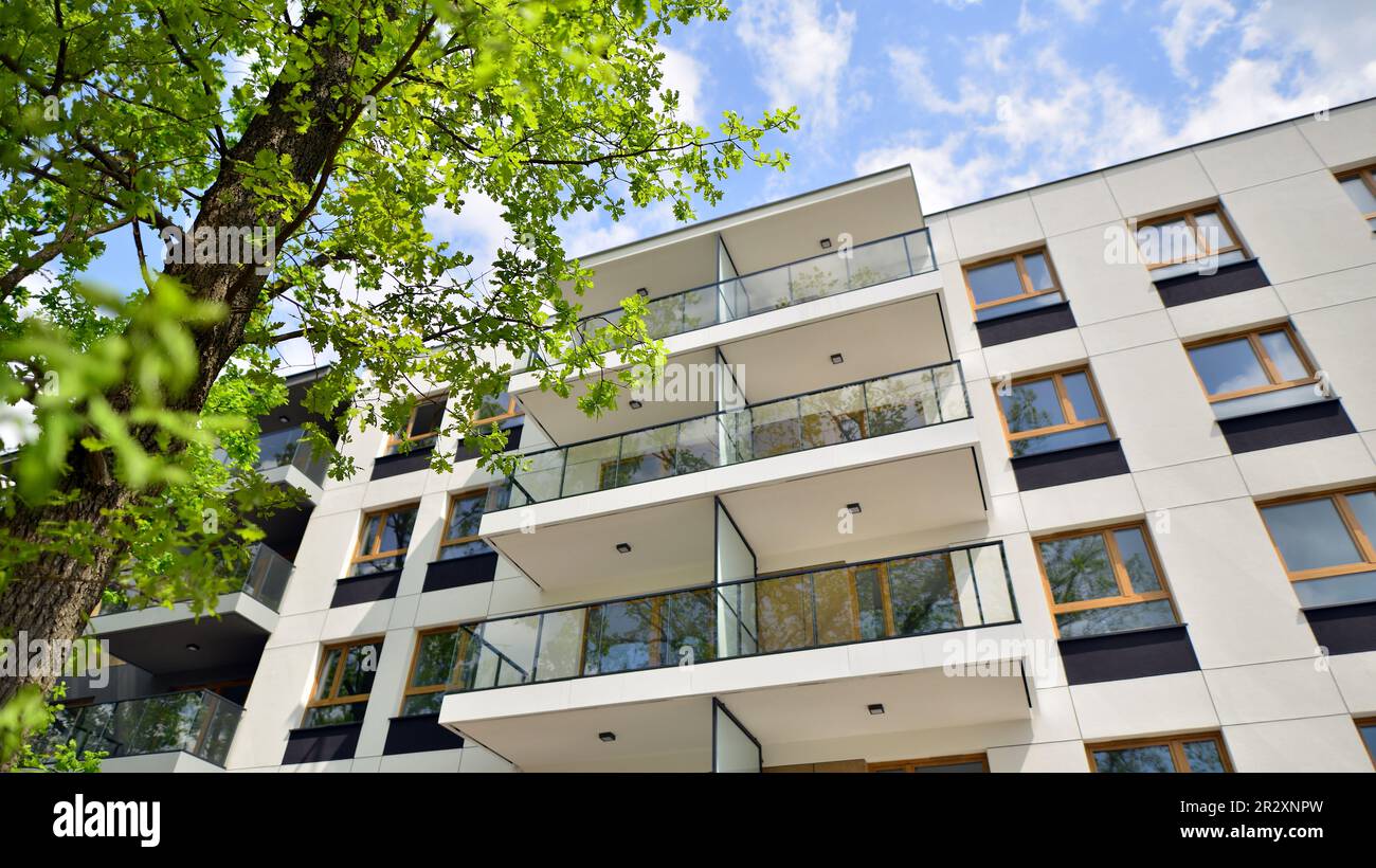 Picture of Eco architecture. Green tree and new apartment building. The harmony of ...