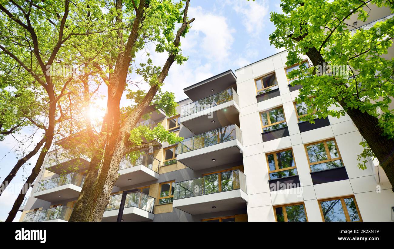 Eco architecture. Green tree and new apartment building. The harmony of