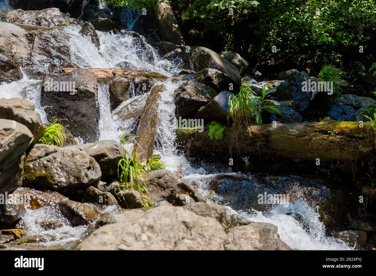 Hidden rain forest waterfall with lush foliage and mossy rocks Stock ...