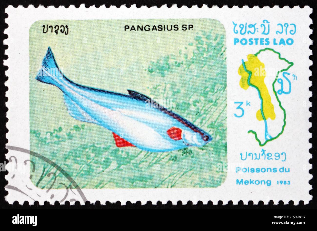 LAOS - CIRCA 1983: a stamp printed in Laos shows shortbarbel pangasias, pangasius micronemus, is a freshwater fish native to South Asia, circa 1983 Stock Photo