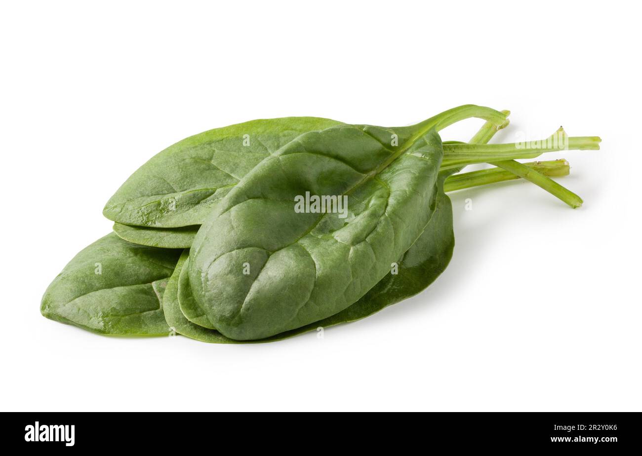 Fresh spinach isolated on white background Stock Photo - Alamy