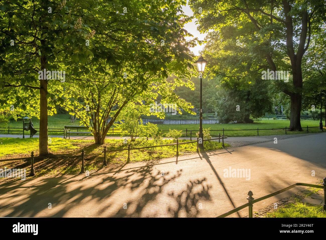 Summer park background hi-res stock photography and images - Alamy