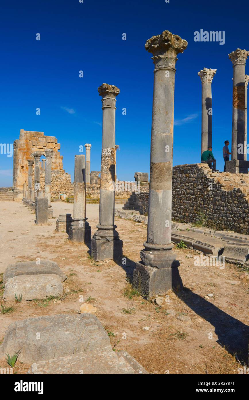 Volubilis, Mulay Idris, Meknes, Roman ruins of Volubilis, UNESCO World