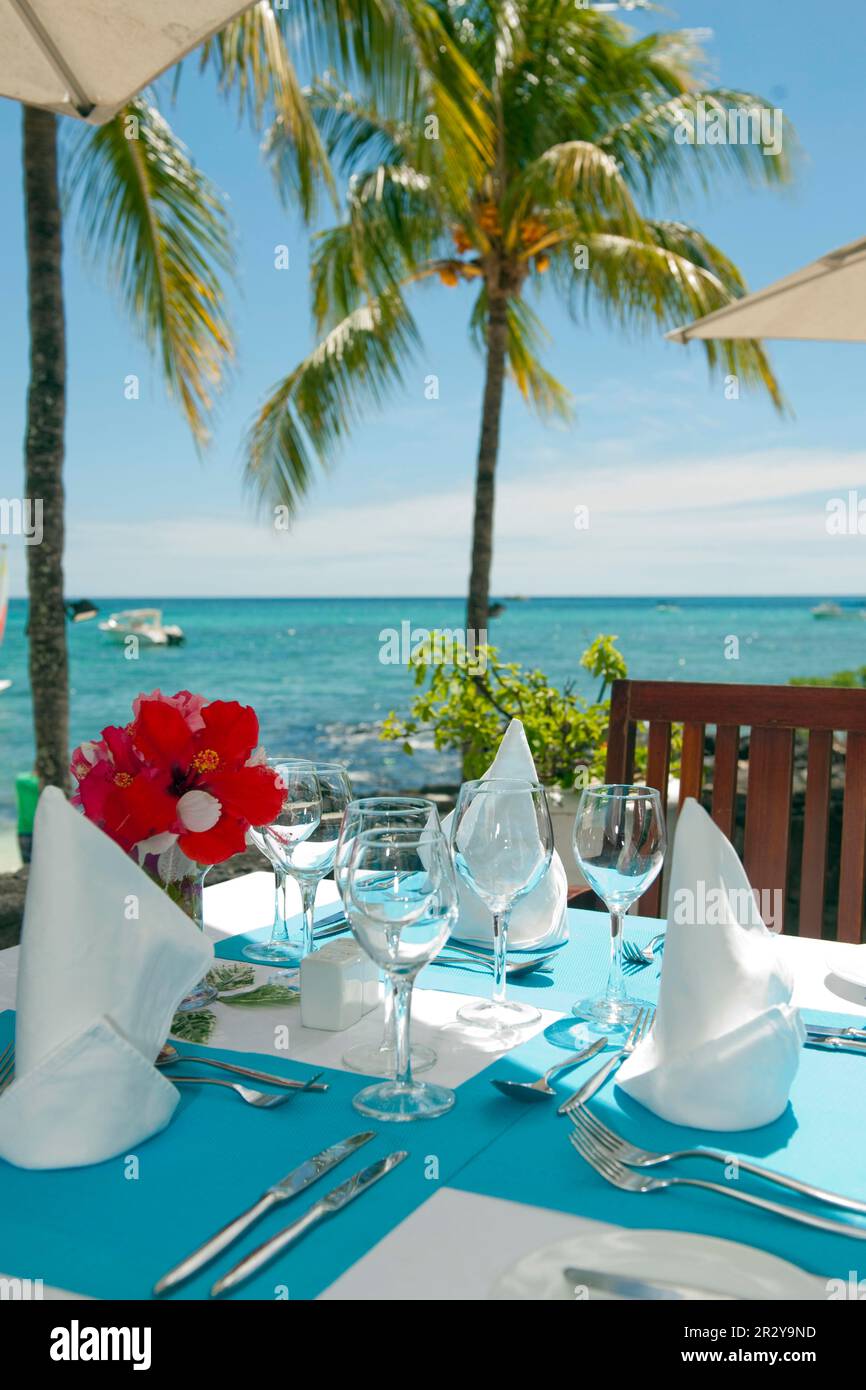 Luxurios decorated lunch table with hibiscus flower under palmtree, Mauritius Stock Photo