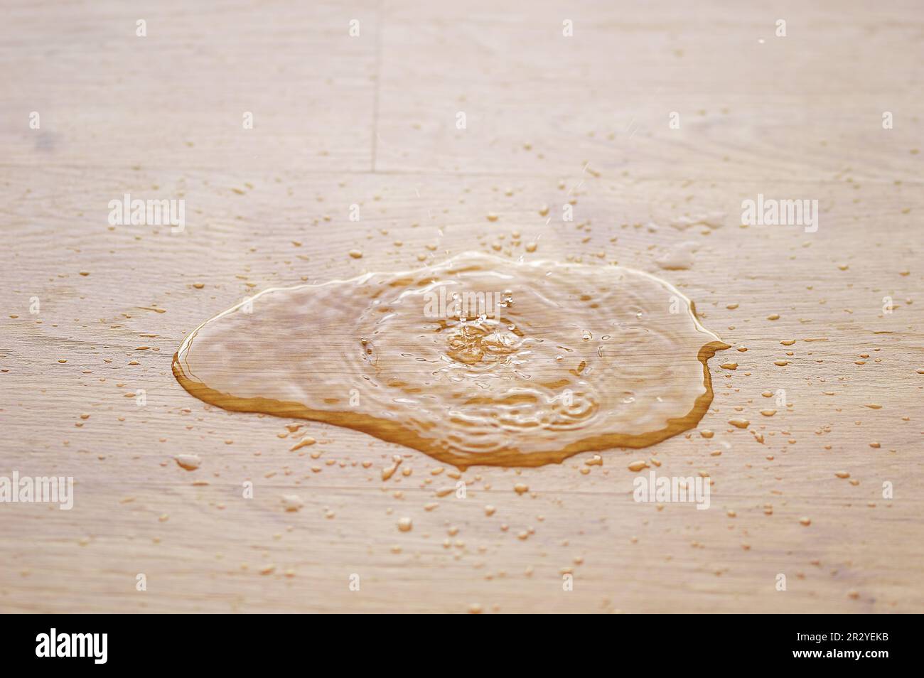 Laminate humidity hires stock photography and images Alamy