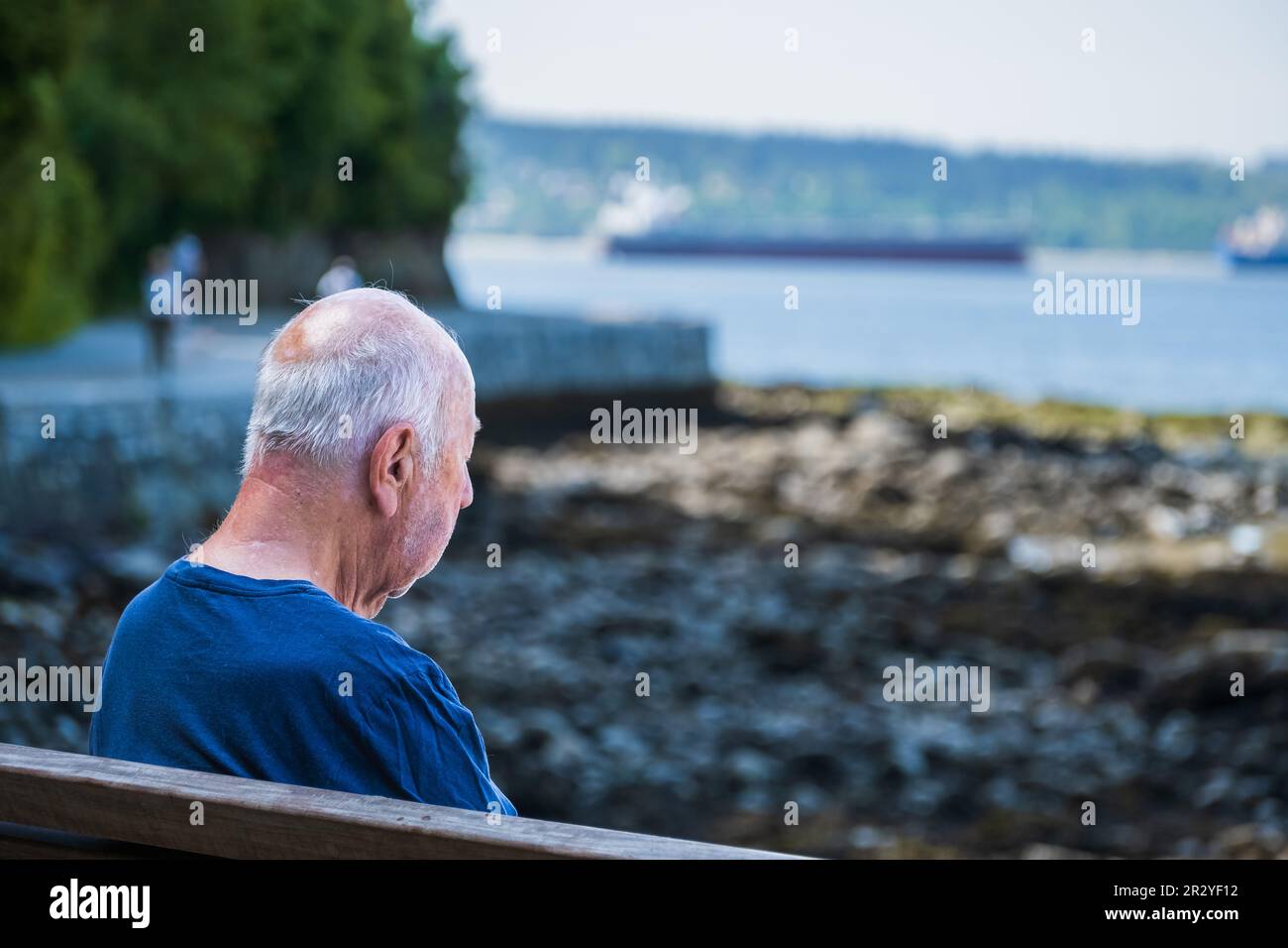 A lonely old man sitting on a bench in a park. Back view of an elderly ...