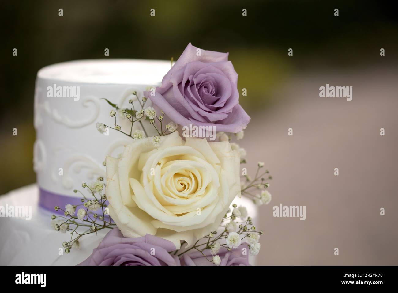 Turangalila Valencia (@turangalilavalencia) • Instagram photos and videos, image size:1300x956