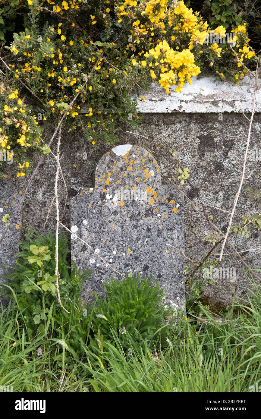 The prison graveyard on Spike Island in County Cork, Ireland Stock