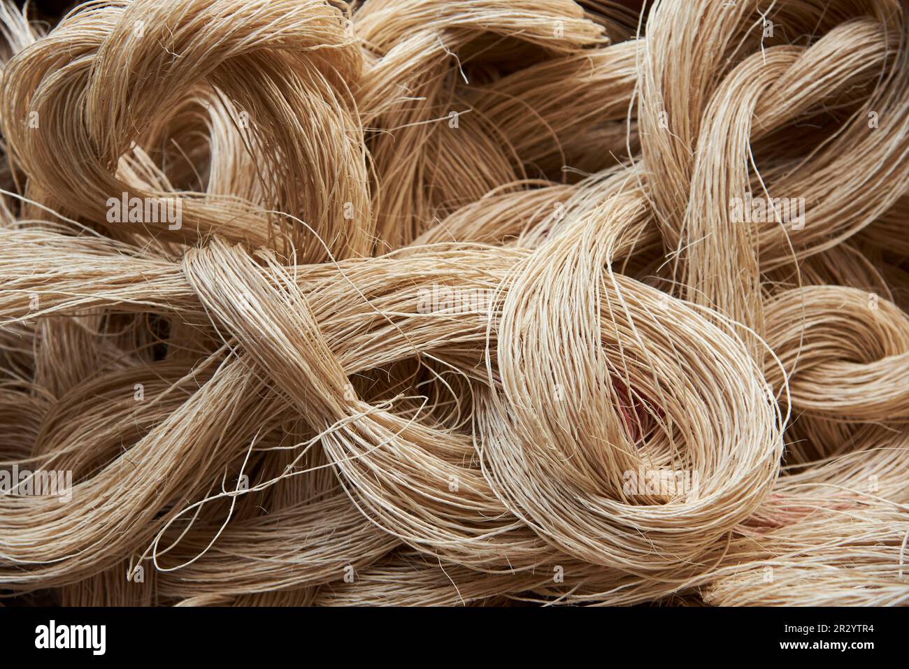 Fique fiber, a vegetable material traditionally used in Colombia in the production of ropes, sacks and handicraft products. Textured natural backgroun Stock Photo