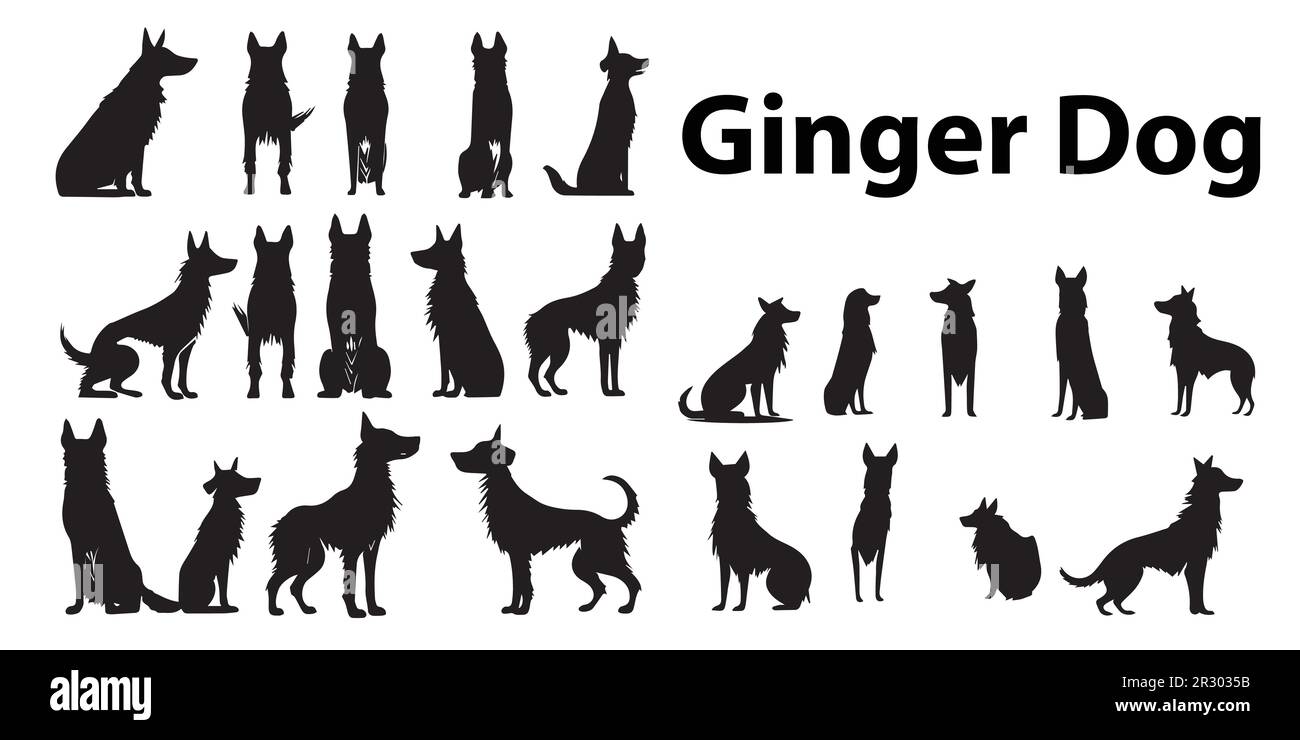 A set of black ginger dogs vector illustrations. Stock Vector